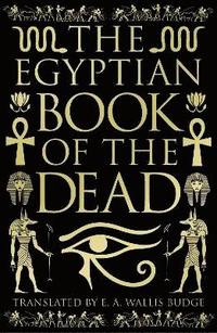 bokomslag The Egyptian Book of the Dead