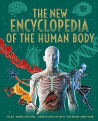 bokomslag The New Encyclopedia of the Human Body: Cells, Genes and Dna, Organs and Systems, the Brain, and More!