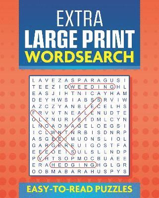 bokomslag Extra Large Print Wordsearch