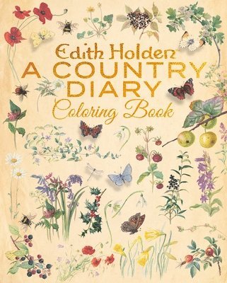 bokomslag The Diary of a Country Lady Coloring Book