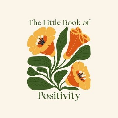 bokomslag The Little Book of Positivity