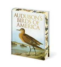 bokomslag Audubon's Birds of America