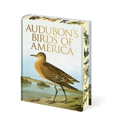 Audubon's Birds of America 1