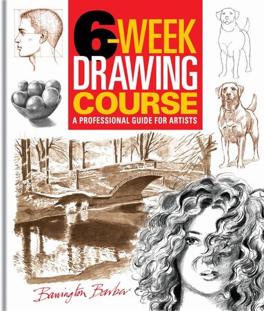 Barrington Barber - 6-Week Drawing Course, Häftad