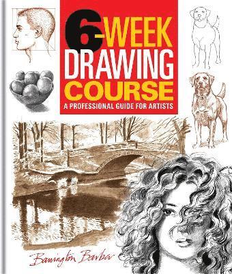 6-Week Drawing Course