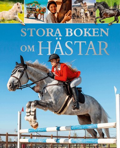 Stora boken om Hästar, Inbunden