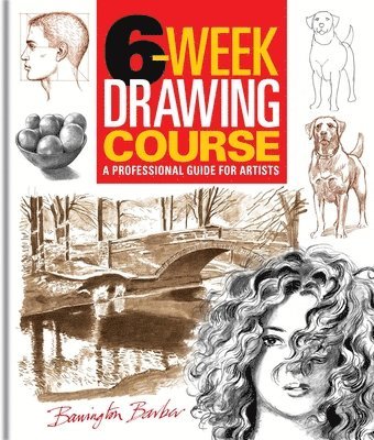 Barrington Barber - 6-Week Drawing Course, Häftad