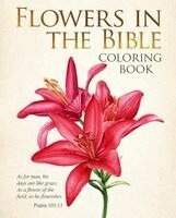 Arcturus Publishing Limited - The Flowers in the Bible Coloring Book, Häftad