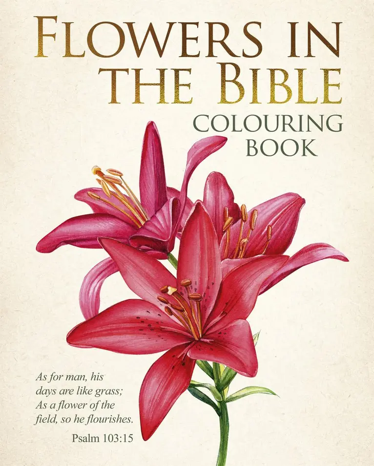 Alex Oxton - Flowers in the Bible Colouring Book, Häftad. Tillgänglighet: Kommande