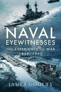 bokomslag Naval Eyewitnesses