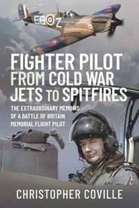bokomslag Fighter Pilot: From Cold War Jets to Spitfires