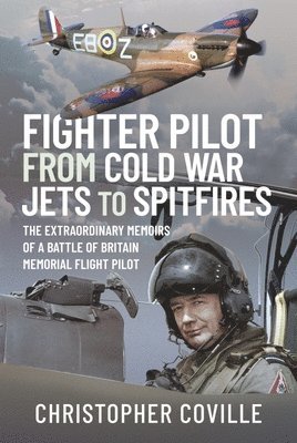 bokomslag Fighter Pilot: From Cold War Jets to Spitfires