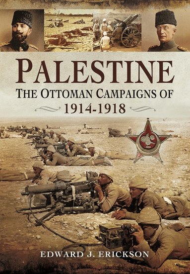 Edward J Erickson - Palestine, Häftad