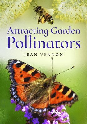 Attracting Butterflies, Bees and Other Garden Pollinators