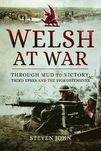 bokomslag Welsh at War