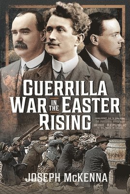 Guerrilla War in the Easter Rising 1