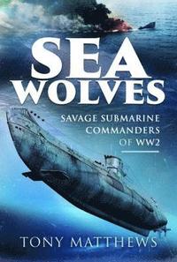 bokomslag Sea Wolves