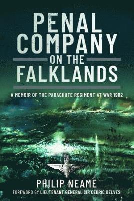 bokomslag Penal Company on the Falklands