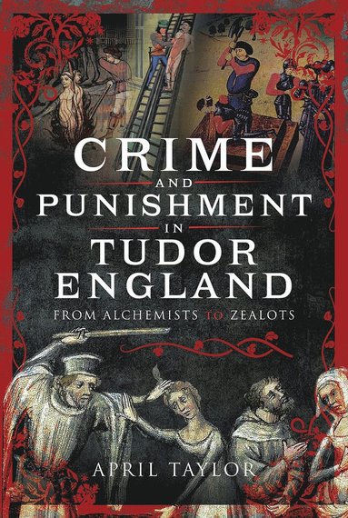 bokomslag Crime and Punishment in Tudor England