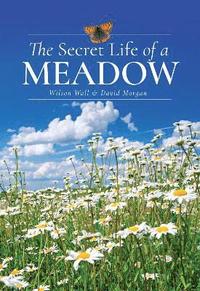 bokomslag The Secret Life of a Meadow