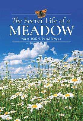 The Secret Life of a Meadow 1
