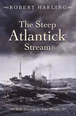 bokomslag The Steep Atlantick Stream