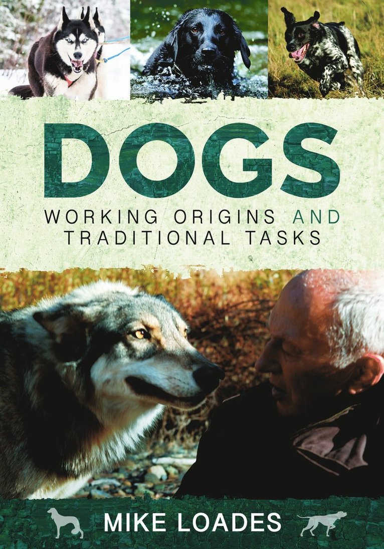 Mike Loades - Dogs: Working Origins and Traditional Tasks, Häftad