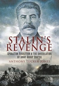 bokomslag Stalin's Revenge