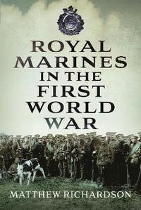 bokomslag Royal Marines in the First World War