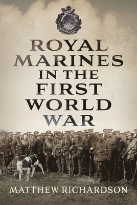 bokomslag Royal Marines in the First World War