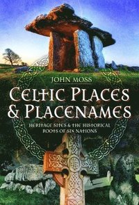 bokomslag Celtic Places