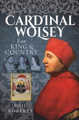bokomslag Cardinal Wolsey