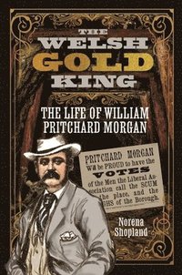 bokomslag The Welsh Gold King