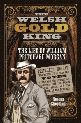 bokomslag The Welsh Gold King