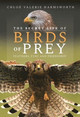 The Secret Life of Birds of Prey 1