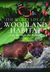 bokomslag The Secret Life of a Woodland Habitat