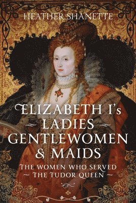 bokomslag Elizabeth I's Ladies, Gentlewomen and Maids