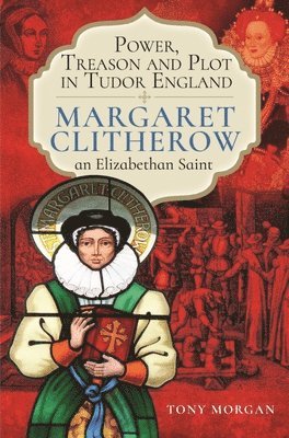 bokomslag Power, Treason and Plot in Tudor England