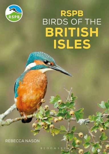 Rebecca Nason - RSPB Birds of the British Isles, Häftad
