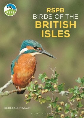 Rebecca Nason - RSPB Birds of the British Isles, Häftad