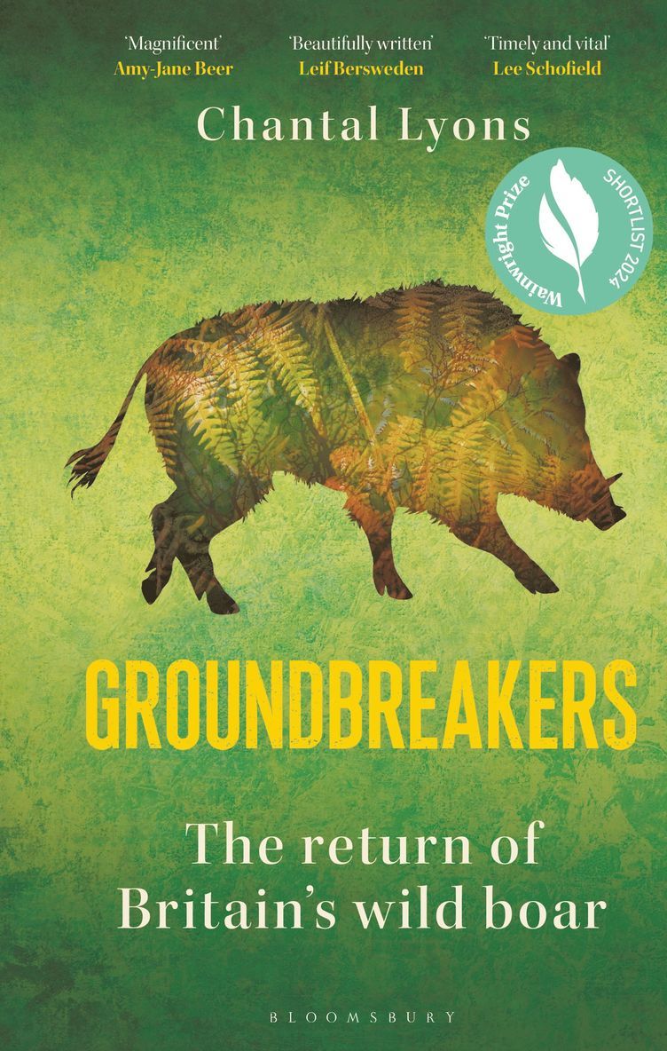 Groundbreakers 1