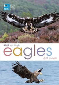 bokomslag RSPB Spotlight: Eagles