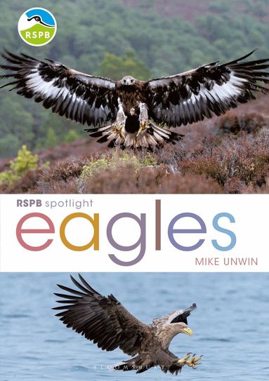Mike Unwin - RSPB Spotlight: Eagles, Häftad