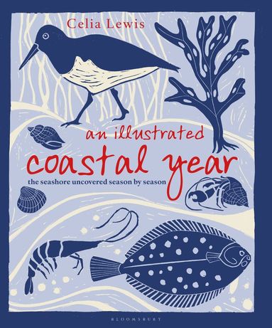 bokomslag Illustrated Coastal Year