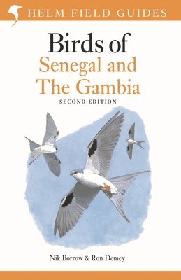 bokomslag Field Guide to Birds of Senegal and The Gambia
