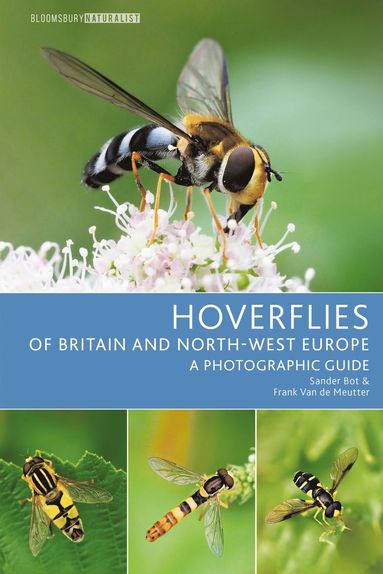 bokomslag Hoverflies of Britain and North-west Europe