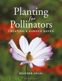 bokomslag Planting for Pollinators