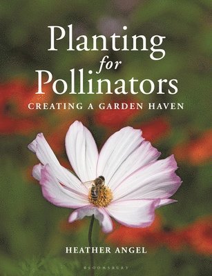 Heather Angel - Planting for Pollinators, Häftad
