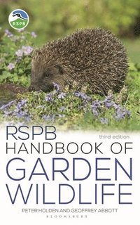 bokomslag RSPB Handbook of Garden Wildlife