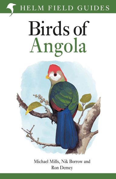 Michael Mills, Nik Borrow, Ron Demey - Field Guide to Birds of Angola, Häftad